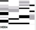 Sets between trays FRIDAY: (H004) Horizontal blocks