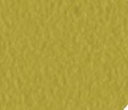 kleuren : (V) Verde Kicca
