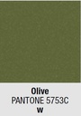 lacquer colour: (w) Olive Pantone 5753C
