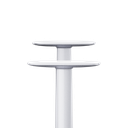 Tion Armsteunen: Silver