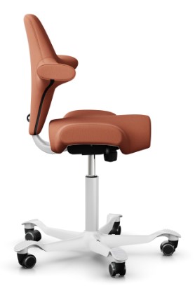 HÅG Capisco 8106