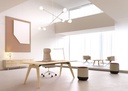 Bureau de direction RAIL