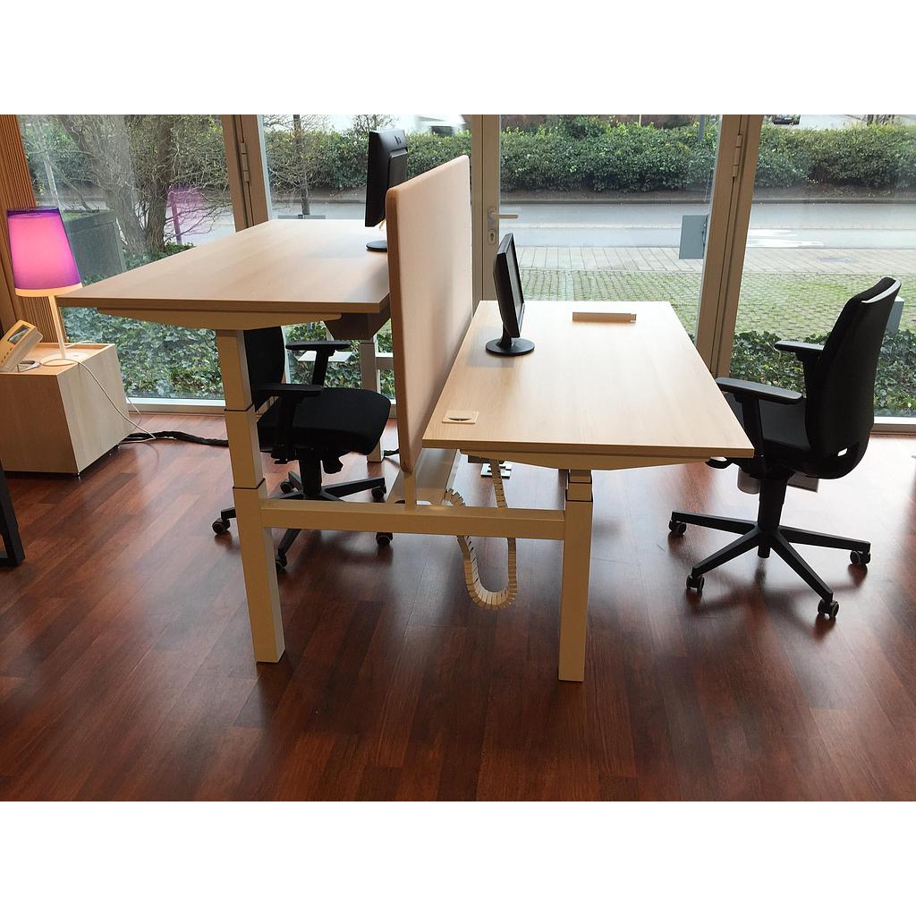 Bench desk E Model 160x170x65-131cm