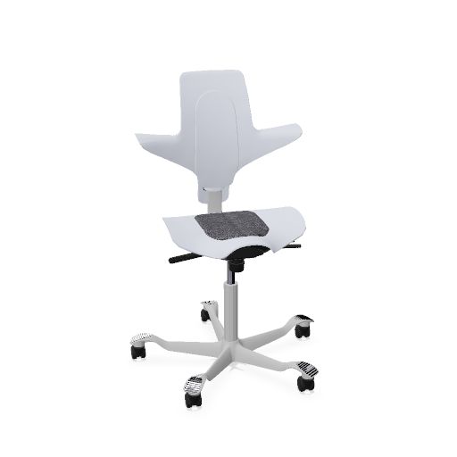 HAG Capisco Puls 8010