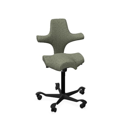 HAG Capisco 8106