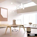 Bureau de direction RAIL