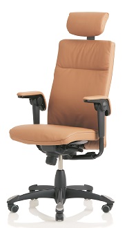 Fauteuil de direction TRIBUTE avec appui-tête (9031_6) - Stock action