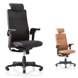 TRIBUTE Executive Chair with headrest (9031_) - Stock action