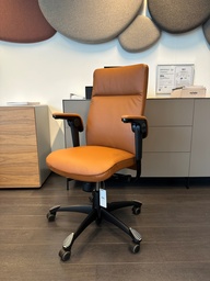 [9021 SR] HAG Executive, Tribute 9021