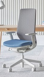 Chair Accis Pro