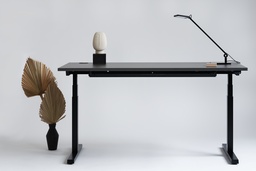 Eenvoudig bureau LANO-E 300 T