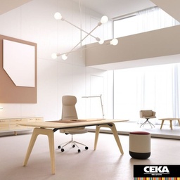Bureau de direction RAIL